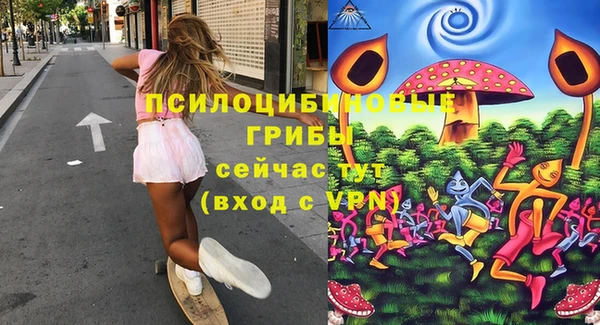 гидропоника Медвежьегорск